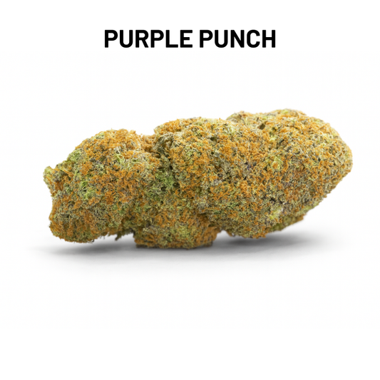 PACK DECOUVERTE - FLEURS HAUT DE GAMME