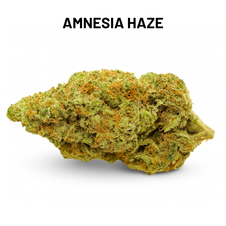 PACK DECOUVERTE - FLEURS HAUT DE GAMME