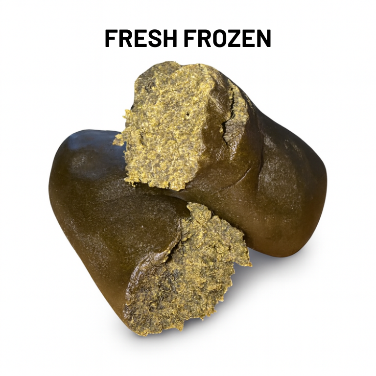 PACK DECOUVERTE - RESINES