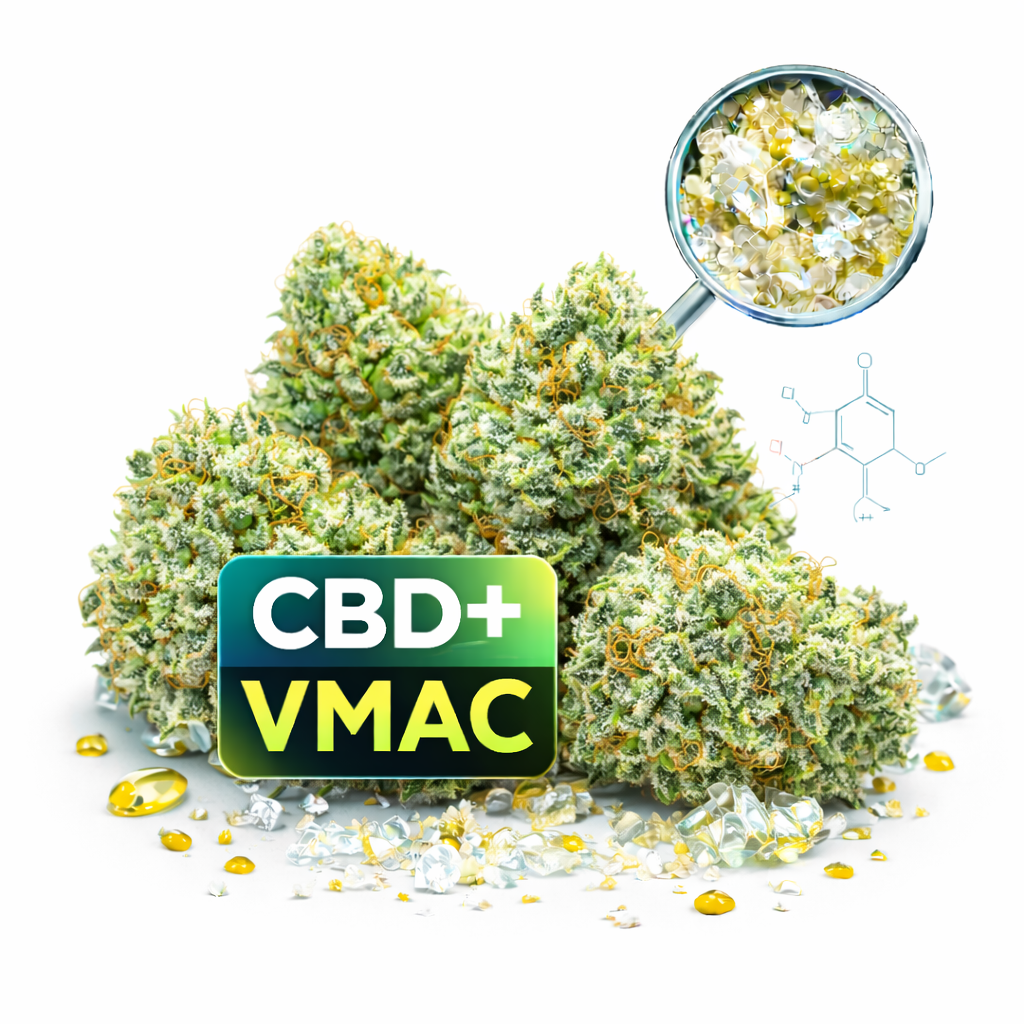 Amnésie Kush VMAC