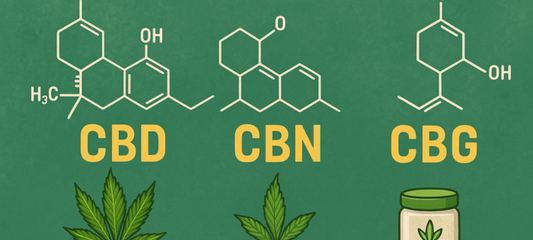 Différences entre CBD, CBN et CBG : quelles molécules pour quels besoins ?