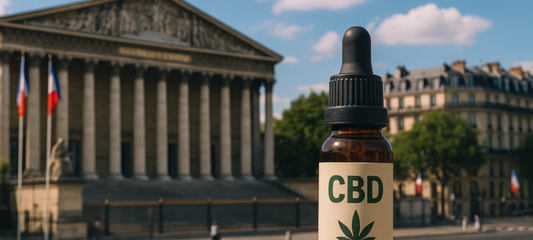 CBD en France : un été 2025 sous haute surveillance réglementaire