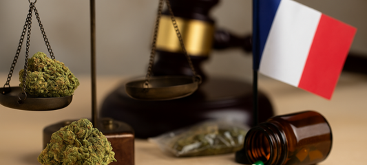 CBD en France : légal ou pas