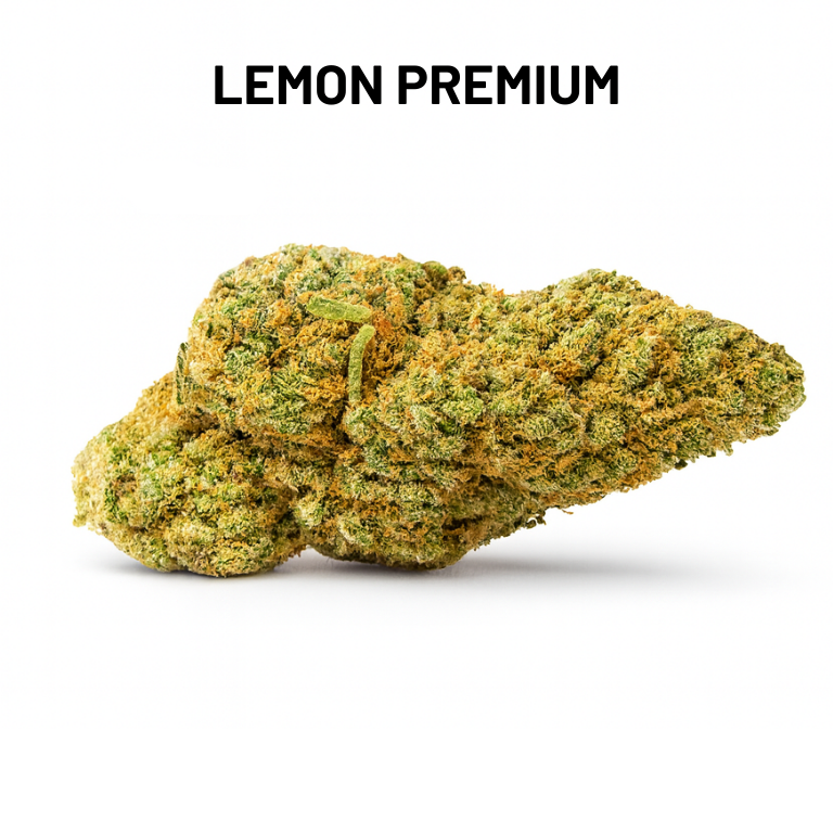 PACK DÉCOUVERTE – FLEURS MOYENNE GAMME