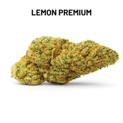 PACK DÉCOUVERTE – FLEURS MOYENNE GAMME