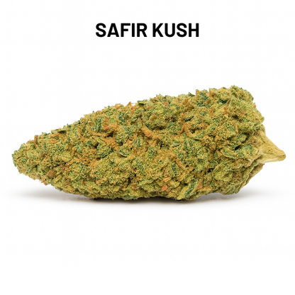 PACK DÉCOUVERTE – FLEURS MOYENNE GAMME