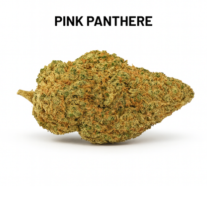 PACK DÉCOUVERTE – FLEURS MOYENNE GAMME