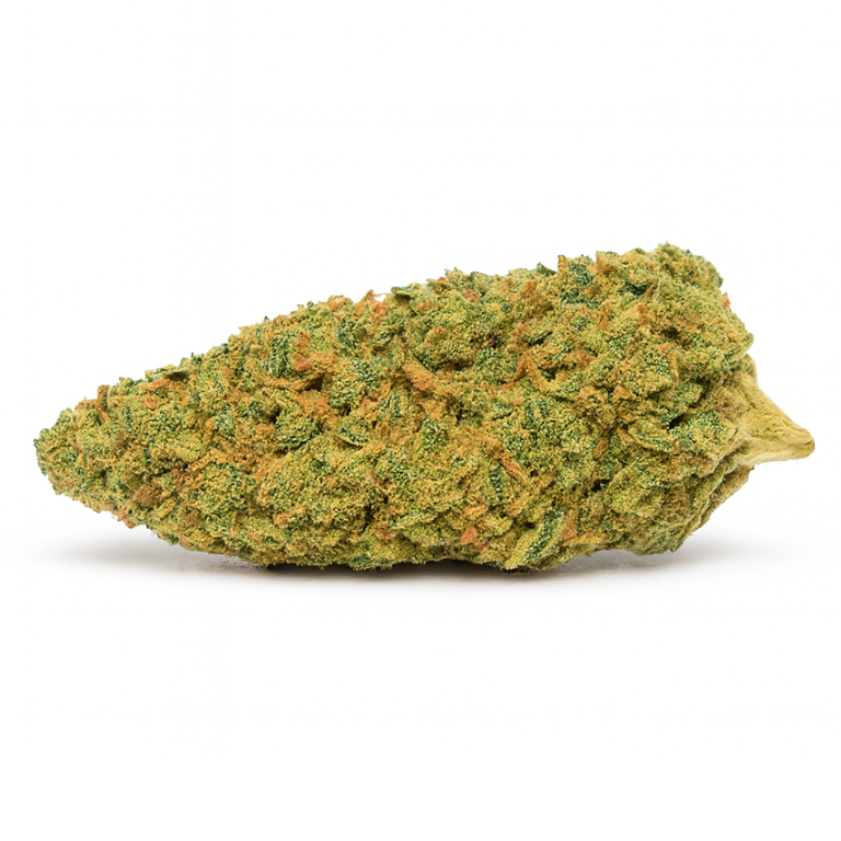 SAFIR KUSH