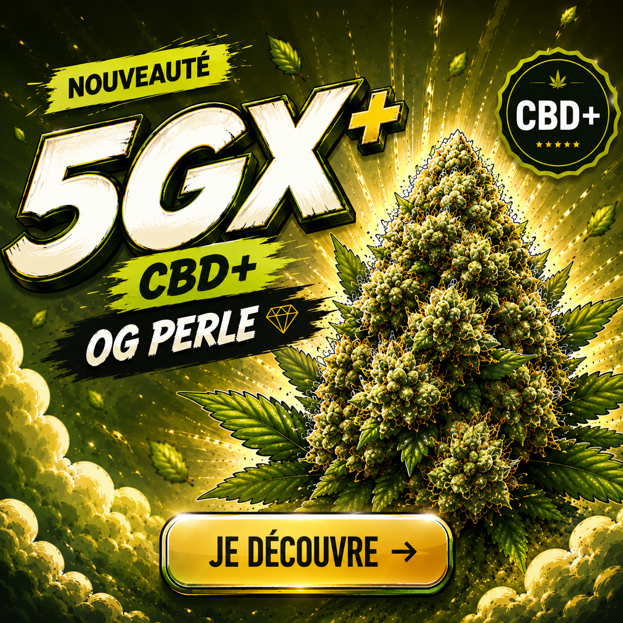 image offre découverte