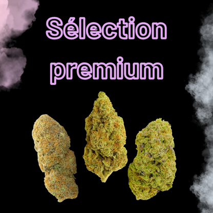 PACK DECOUVERTE - FLEURS HAUT DE GAMME