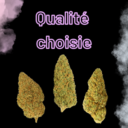 PACK DÉCOUVERTE – FLEURS MOYENNE GAMME