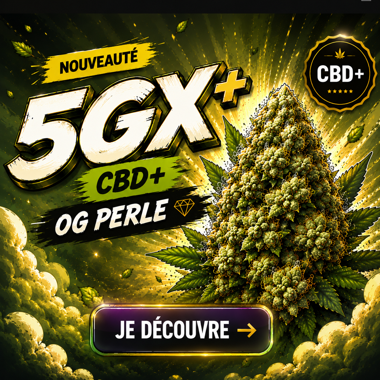 image offre découverte