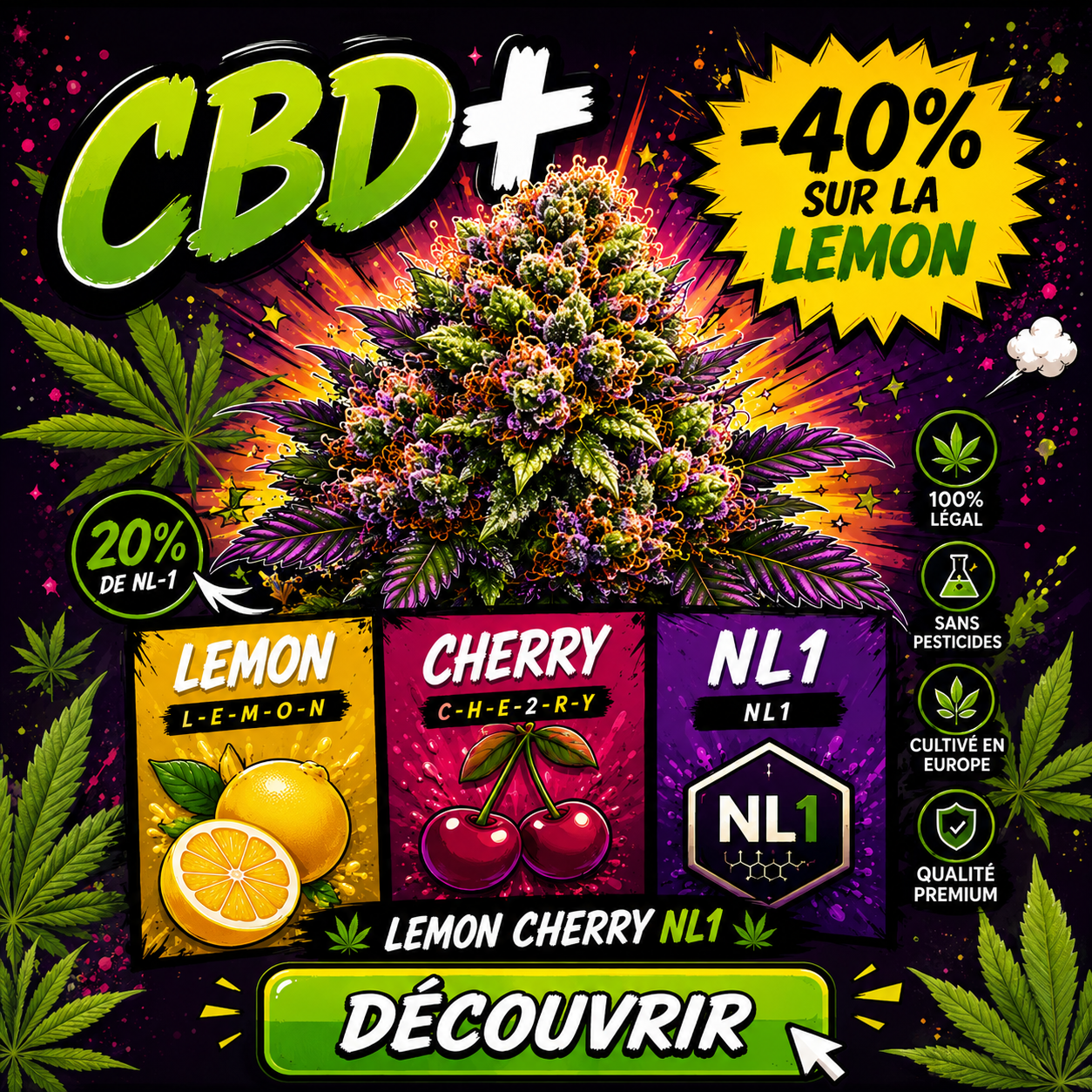 image offre découverte