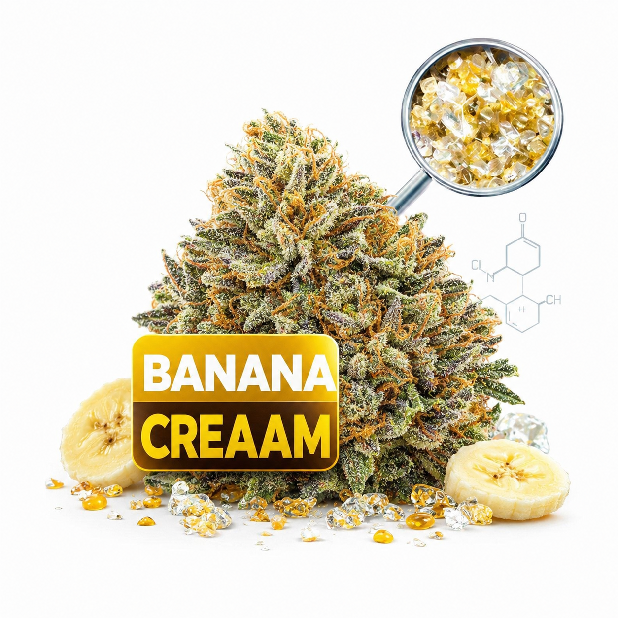Banana Cream NL-1