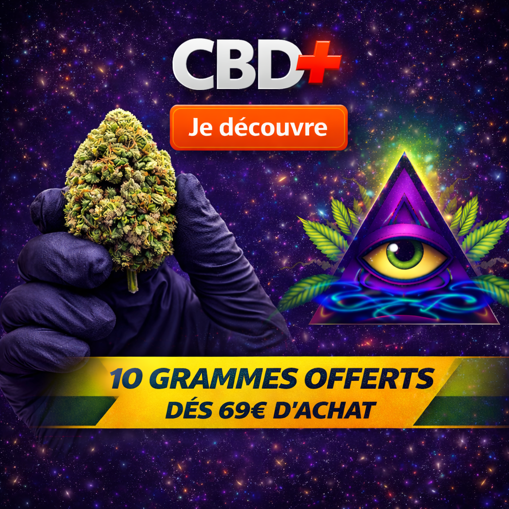 image offre découverte