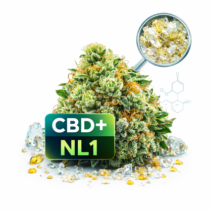 Royal OG NL-1 20%