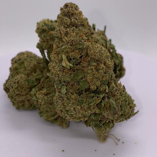 SAFIR KUSH