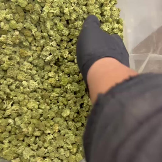 CANNATONIC CRYO